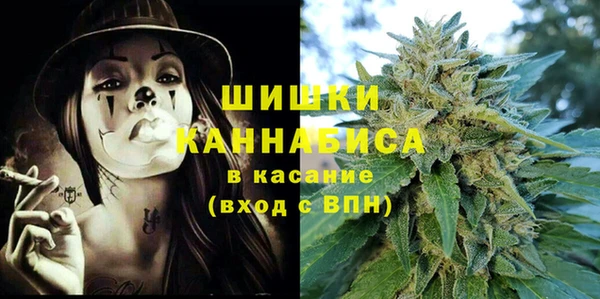 сатива Абинск