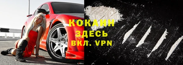 сатива Абинск